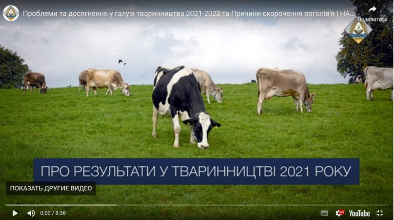 Проблеми та досягнення у галузі тваринництва 2021-2022 та Причини скорочення поголів’я | НААН