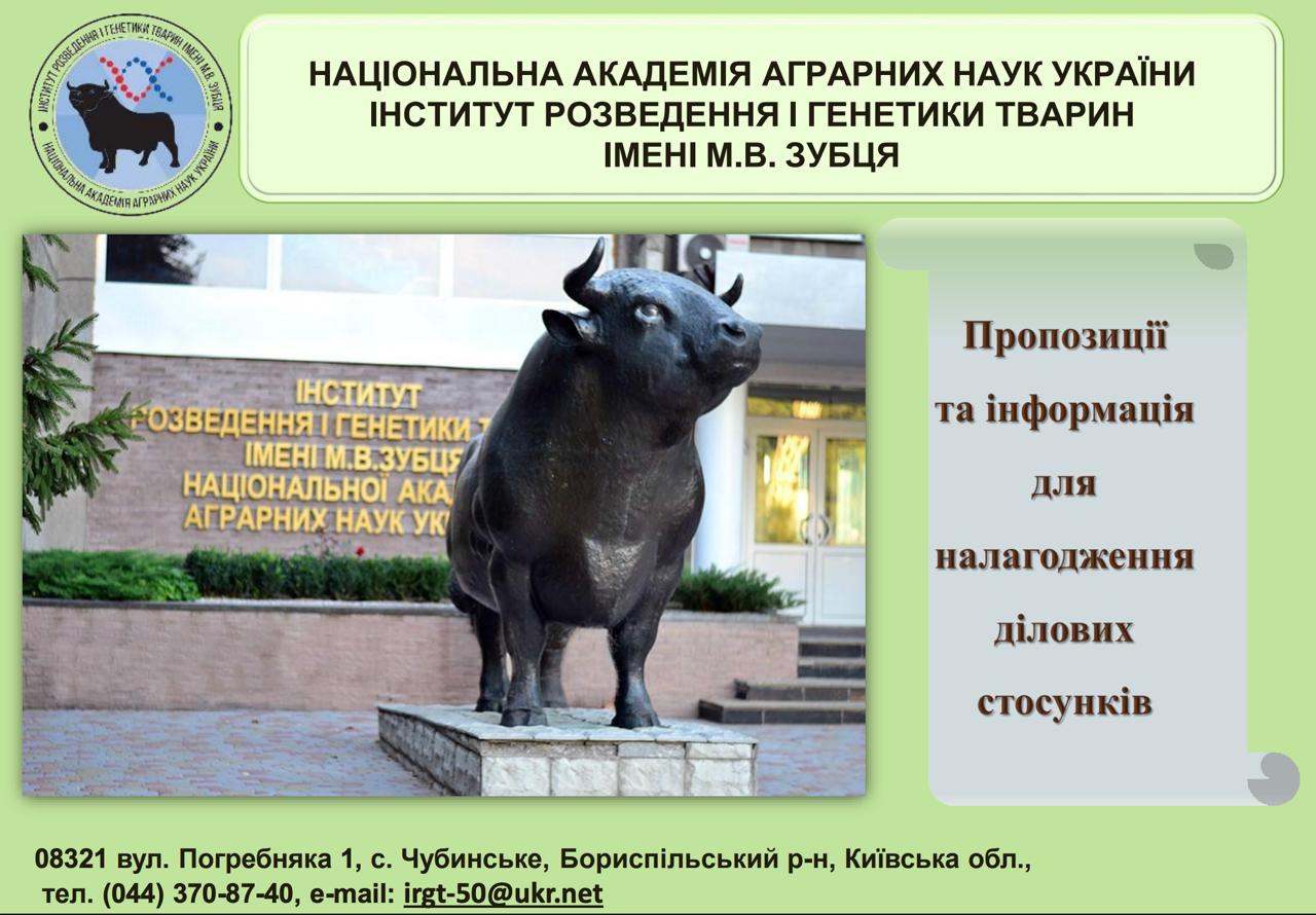 Пропозиції та інформація для налагодження ділових стосунків