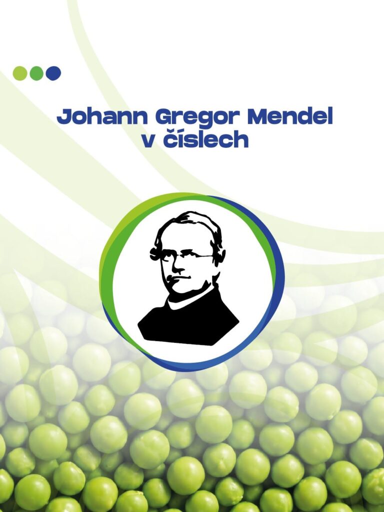Участь у Mendel Festival 2026 (м. Брно, Чеська Республіка)